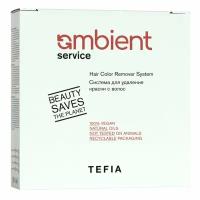 Tefia, Система для удаления краски с волос (набор) AMBIENT Service