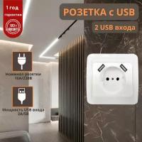 Розетка с USB+ с двумя входами