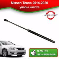 Упоры капота для Nissan Teana L33 2014-2020 / Газовые амортизаторы капота Ниссан Теана L33