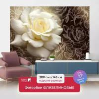Фотообои на стену первое ателье "Большая роза на графическом фоне из роз" 200х145 см (ШхВ), флизелиновые Premium