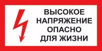 Информационная табличка Знак безопасности A15 Высокое напряжение, Опасно для жизни, 300х150