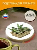 Подставка под горячее "Аглаонема, диффенбахия, очистка горшка" 10 см. из блого мрамора