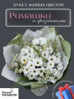 Букет живых цветов из ромашек и хризантем "Ромашковое поле"
