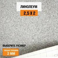 Линолеум для пола на отрез 2,5х2 м Juteks Master Proxi 2, полукоммерческий, 32 класс, 4832909-2,5х2