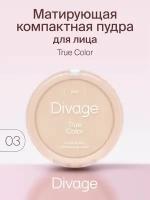 Divage Пудра компактная True Color, Тон 03 beige