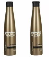 Gamma Perfect Hair Шампунь для сухих и поврежденных волос, с термозащитой,350 мл,2шт