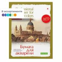 Папка для рисования акварелью А4,8л, блок гознак 200гр 4-006 дизайн в ассорт