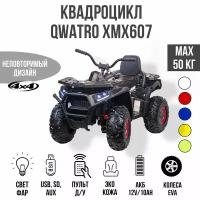 Toyland Квадроцикл Qwatro ХМХ607, Карбон краска