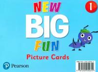 New Big Fun. Level 1. Picture Cards