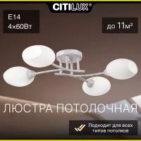 Citilux Флорида CL148140 Люстра потолочная Белая с патиной