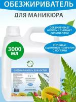 Обезжириватель для ногтей и маникюра Фруктовый, Fruits. JOY NOW, 3000 мл