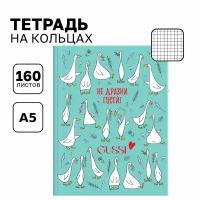 Тетрадь на кольцах А5 со сменным блоком 160 листов в клетку BG "Gussi", с твердой обложкой для учебы и лекций /записная книжка, бизнес-блокнот