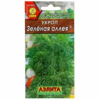 Семена Укроп «Зелёная аллея»