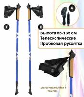 Палки для скандинавской ходьбы телескопические двухсекционные, алюминиевые, синие, 1 пара