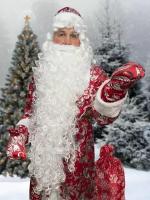Парик и борода, Дед Мороз 2023. Борода длинной 1 метр