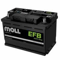 Автомобильный аккумулятор MOLL EFB 64R (12В 64Ач 620А 242х175х190) обр. пол