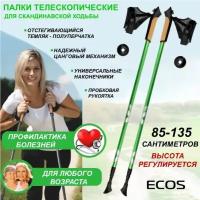 Палки для скандинавской ходьбы ECOS Nordic регулируемые 85-135 см, двухсекционные, алюминиевые, 1 пара, зеленые