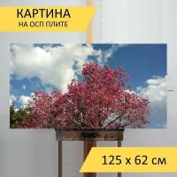 Картина на ОСП 125х62 см. "Лапачо, аргентина, реконкисты" горизонтальная, для интерьера, с креплениями