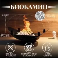 Биокамин настольный WellHome, камин декоративный, биокамин с живым огнем