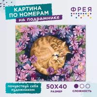 Набор для творчества Картина по номерам Фрея Ласковые обьятия на холсте 50х40см PNB/PL-049