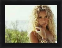 Плакат, постер на холсте Shakira-Шакира. Размер 30 х 42 см