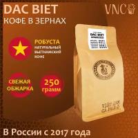 Кофе в зернах VNC Робуста "Dac Biet" 250 г, Вьетнам, свежая обжарка, (Дак Биет)