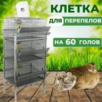 Клетка для перепелов на 45-60 голов с каркасом