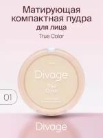 Divage Пудра компактная True Color, Тон 01 fair