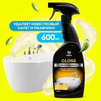 Чистящее средство спрей от ржавчины и известкового налета Grass Gloss Professional, 600 мл