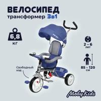 Трехколесный велосипед Moby Kids Blitz