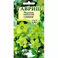 В заказе: 10 пачек семян / Морозник Спринг восточный кавказский 0,1г Мн 50см (Гавриш)