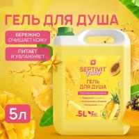 Гель для душа SEPTIVIT FRUTSY Тропический коктейль 5 л