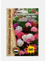 Семена цветов для дома и сада Пеларгония карликовая Микс