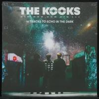 Виниловая пластинка Awal Kooks – 10 Tracks To Echo In The Dark