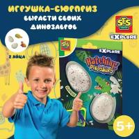 Игрушка яйца-сюрпризы Explore "Вырасти своих динозавров", 2 шт, 5 лет+, SES Creative