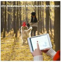 GPS трекер ошейник для домашних животных Client Service TR 909 / ошейник для собак