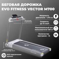 Беговая дорожка Evo Fitness Vector M700