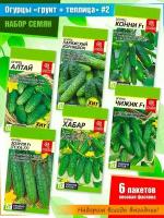 Набор семян огурцов: Алтай, Парижский корнишон, Конни f1, Зозуля f1, Хабар, Чижик f1 от Семена Алтая (6 пачек)