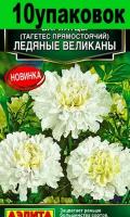 Семена Бархатцы пр. Ледяные великаны 50см (Аэлита) 10уп по 7шт