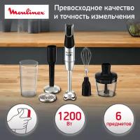 Погружной блендер Moulinex DD95HD10, серебристый/черный