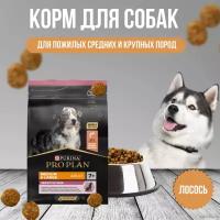 Pro Plan корм для собак старше 7 лет средних и крупных пород с чувствительной кожей, с лососем и рисом (medium&large adult 7+ sensitive skin)