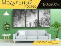 Модульный постер "Небо, лес, черно белое изображение" 180 x 90 см. для интерьера