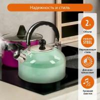 HOME ELEMENT HE-WK1602 светлая яшма чайник со свистком