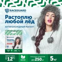 Антигололедный реагент RACEGUARD Econom 5 кг, пакет