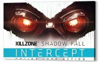 Плакат, постер на бумаге Killzone: Shadow Fall. Размер 42 х 60 см