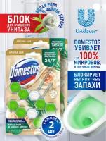 DOMESTOS Блок для очищения унитаза POWER 5 зелёный ЧАЙ Дуо 2*50 гр х 2 шт