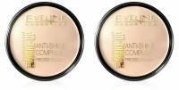 Eveline Cosmetics Пудра матирующая минеральная с шелком Art Professional Make-up, Тон 31 Transparent, 2 шт