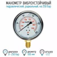 Манометр виброустойчивый YN100Z на 250 бар, 100 мм, G 1/2" радиальный, глицериновый