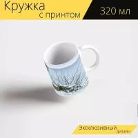 Кружка с рисунком, принтом "Тигр, белый тигр, хищник" 320 мл