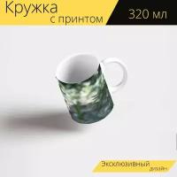 Кружка с рисунком, принтом "Белый тигр, тигр, кошка" 320 мл